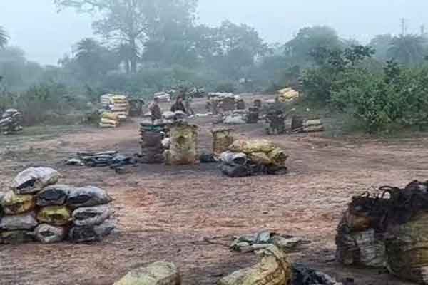 गिरिडीह में अवैध कोयला कारोबार पर बड़ी कार्रवाई, 20 टन कोयला और 5 मोटरसाइकिल जब्त