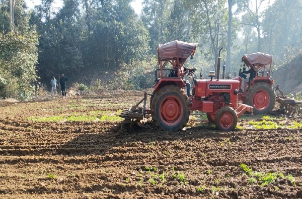 लातेहार में पुलिस की बड़ी कार्रवाई, 3 एकड़ में लगी अवैध अफीम की खेती नष्ट