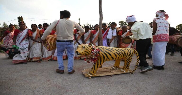 सरहुल पर पलामू में ‘बाघ देवता’ की स्थापना, आस्था के जरिए जंगल और वन्यजीव संरक्षण की अनोखी पहल