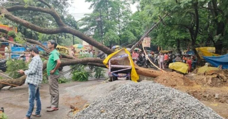 रांची में तेज बारिश और आंधी के बीच हाई-टेंशन लाइन पर गिरा विशाल पेड़, डोरंडा समेत कई इलाकों की बिजली बाधित