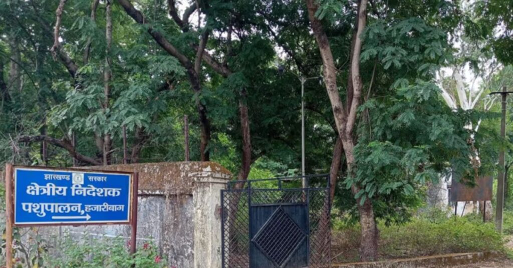 हजारीबाग पशुपालन विभाग में अधिकारियों की कमी, सात जिलों की योजनाओं के संचालन पर असर की आशंका