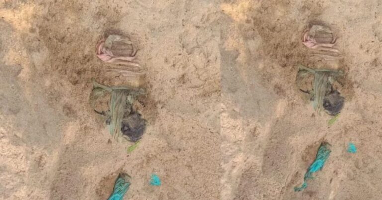 रांची में बालू में दफन मिली युवती की लाश, दशम फॉल थाना क्षेत्र में सनसनी, जांच में जुटी पुलिस