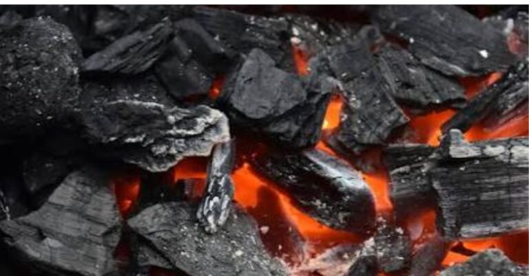 कोयले से आगे बढ़ेगा धनबाद, क्रिटिकल मिनरल्स और स्वच्छ ऊर्जा का राष्ट्रीय केंद्र बनने की क्षमता: विशेषज्ञ