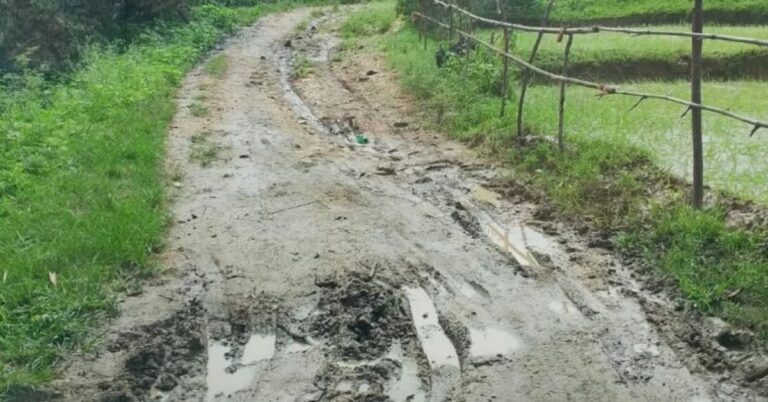 लातेहार में बारिश से दम्हा टोला की सड़क बनी जानलेवा, ग्रामीणों ने पीसीसी सड़क निर्माण की उठाई मांग